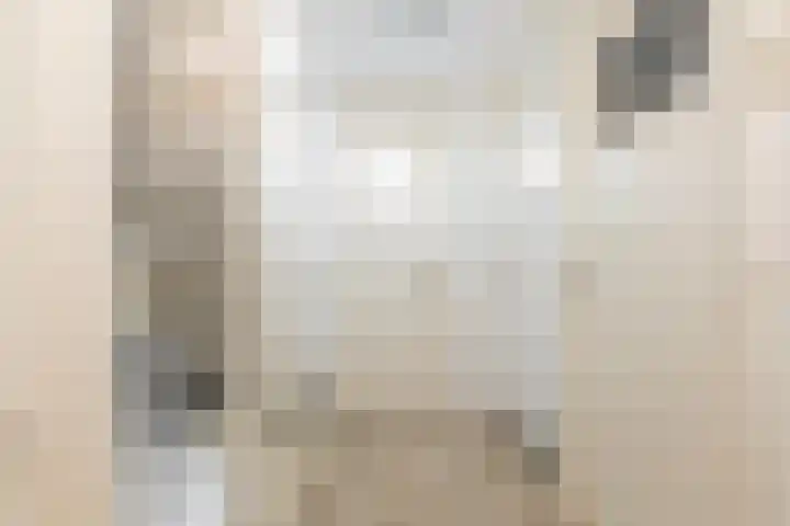 Ambachtsstraat 3 Schoonhoven thumbnail 37