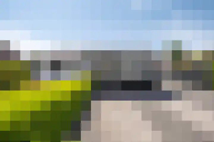 Ambachtsstraat 55 's-Gravenpolder thumbnail 20