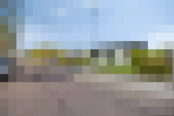 Ambachtsstraat 55 's-Gravenpolder thumbnail 24