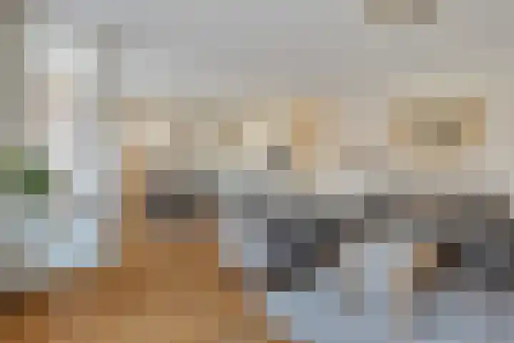 Ambachtswerf 6 De Lier thumbnail 12