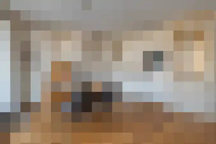 Ambachtswerf 6 De Lier thumbnail 13