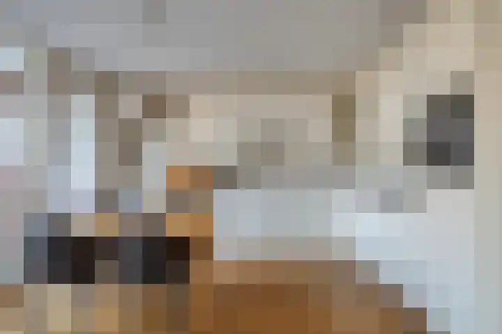 Ambachtswerf 6 De Lier thumbnail 14