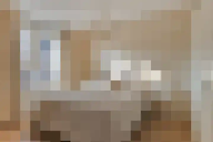 Ambachtswerf 6 De Lier thumbnail 17