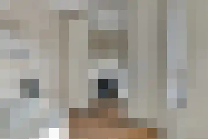 Ambachtswerf 6 De Lier thumbnail 21