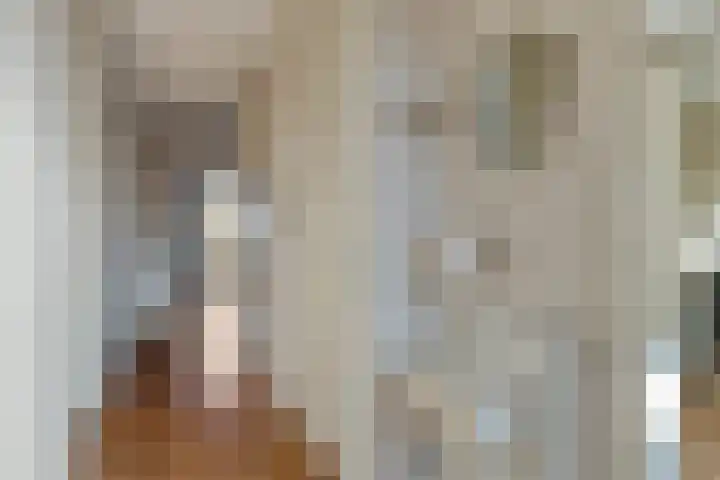 Ambachtswerf 6 De Lier thumbnail 6