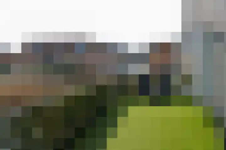 Ambonlaan 11 Huizen thumbnail 10