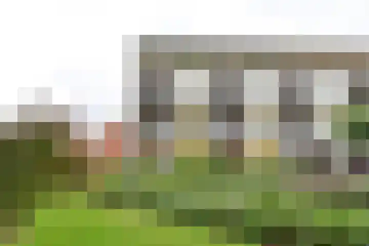 Ambonlaan 13 dans Huizen