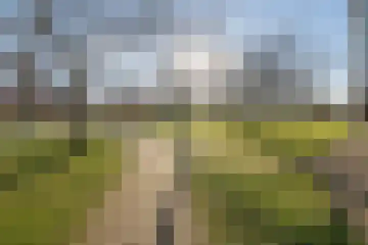 Ambonstraat 34 Almere thumbnail 36