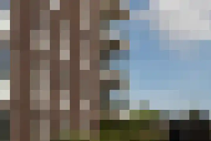 Ambonstraat 44 Almere thumbnail 30