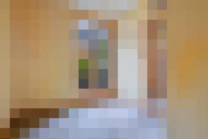 Ambonstraat 7 Groningen thumbnail 21