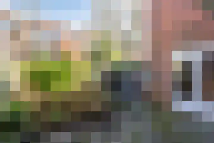Ambonstraat 7 Groningen thumbnail 22