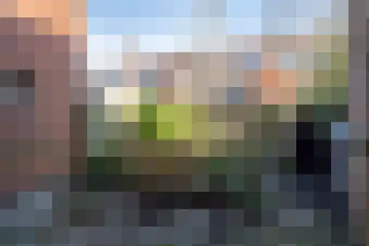 Ambonstraat 7 Groningen thumbnail 23