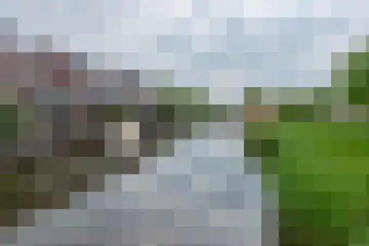 Ambonstraat 78 Almere thumbnail 36