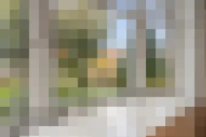 Ambonstraat 78 Den Helder thumbnail 9