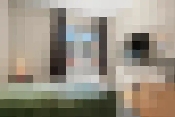 Ambtsbos 31 Ede thumbnail 17