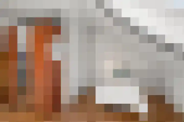 Ambtsbos 31 Ede thumbnail 22