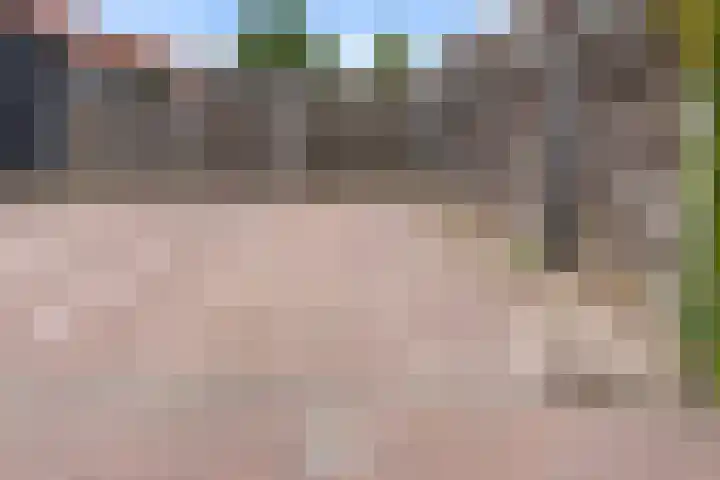 Ambtsbos 31 Ede thumbnail 28