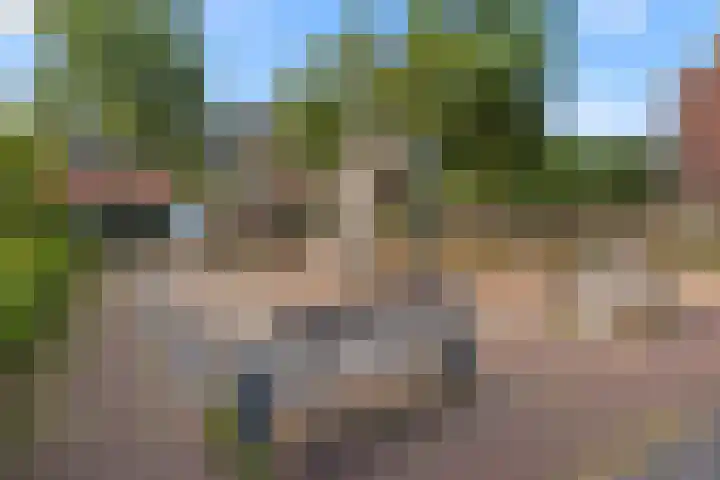Ambtsbos 31 Ede thumbnail 30