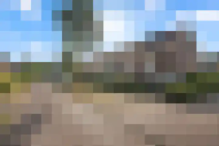 Ambtsbos 31 Ede thumbnail 32