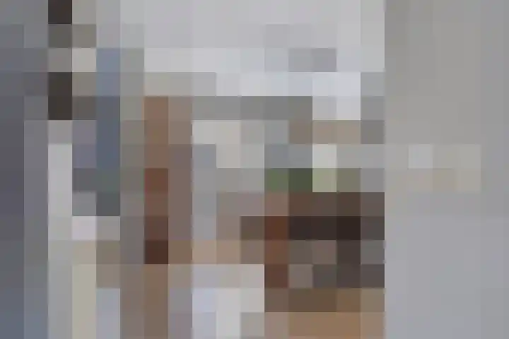 Ame 32 Drachten thumbnail 12