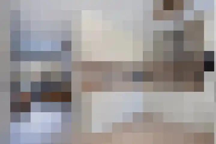 Ame 32 Drachten thumbnail 15