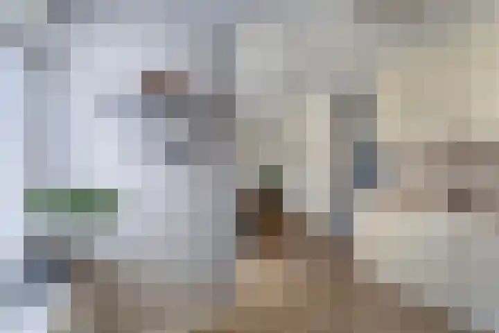 Ame 32 Drachten thumbnail 16