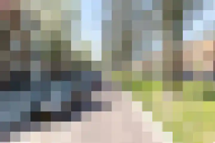 Ame 32 Drachten foto 2