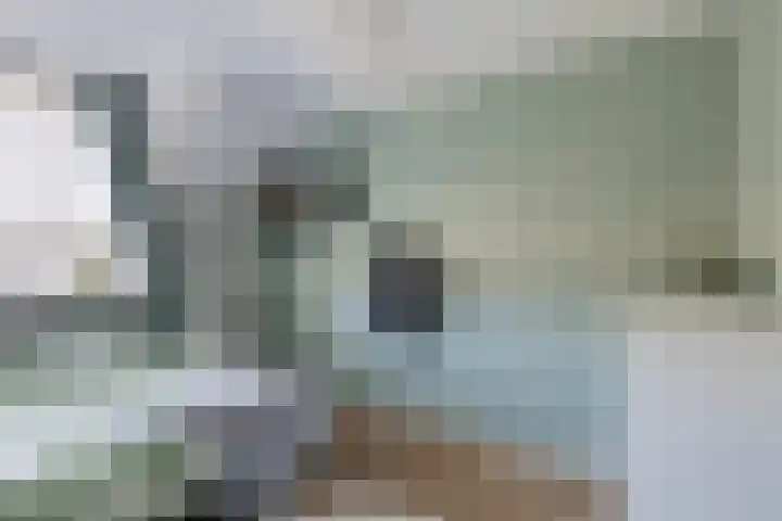 Ame 32 Drachten thumbnail 25