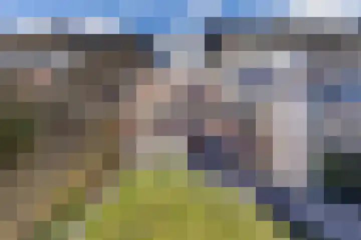 Ame 32 Drachten thumbnail 36