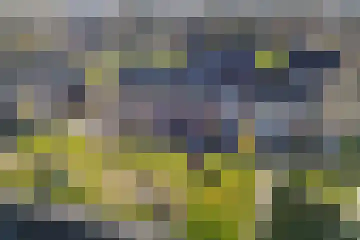 Ame 32 Drachten thumbnail 4