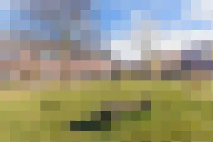 Ame 32 Drachten thumbnail 40
