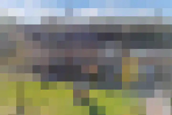 Ame 32 Drachten thumbnail 41