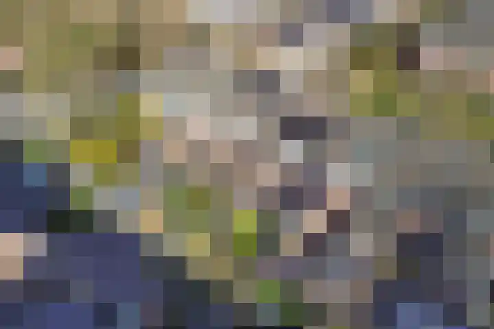 Ame 32 Drachten thumbnail 43