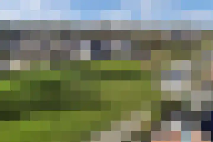 Ame 32 Drachten thumbnail 44