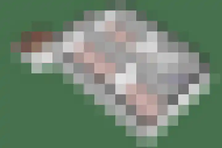 Ame 32 Drachten thumbnail 49