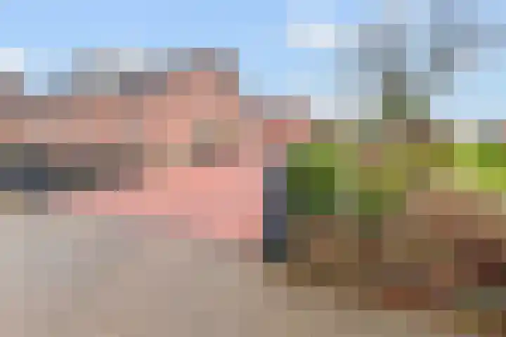 Ameidsedam 3 Spijk