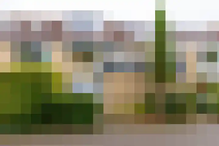 Ameland 4 Utrecht