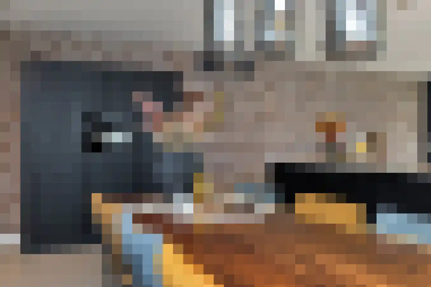 Amelsestraat 25 Oss thumbnail 19
