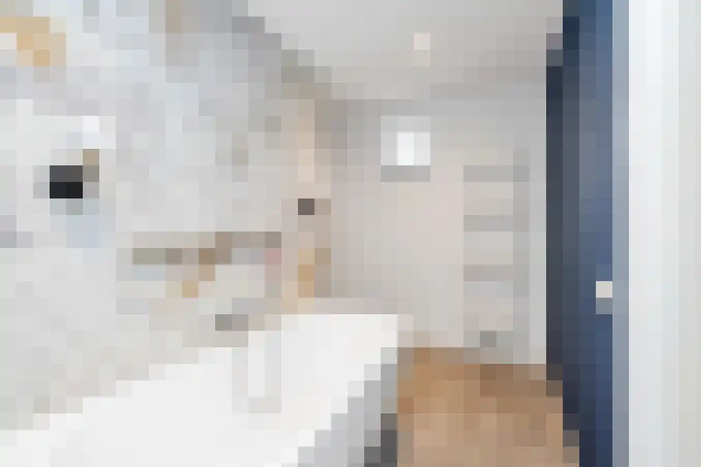 Amelsestraat 25 Oss thumbnail 32