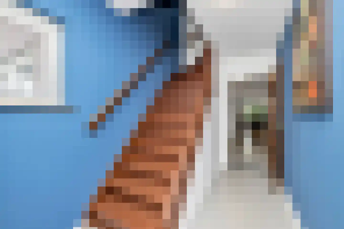 Amelsestraat 25 Oss thumbnail 40