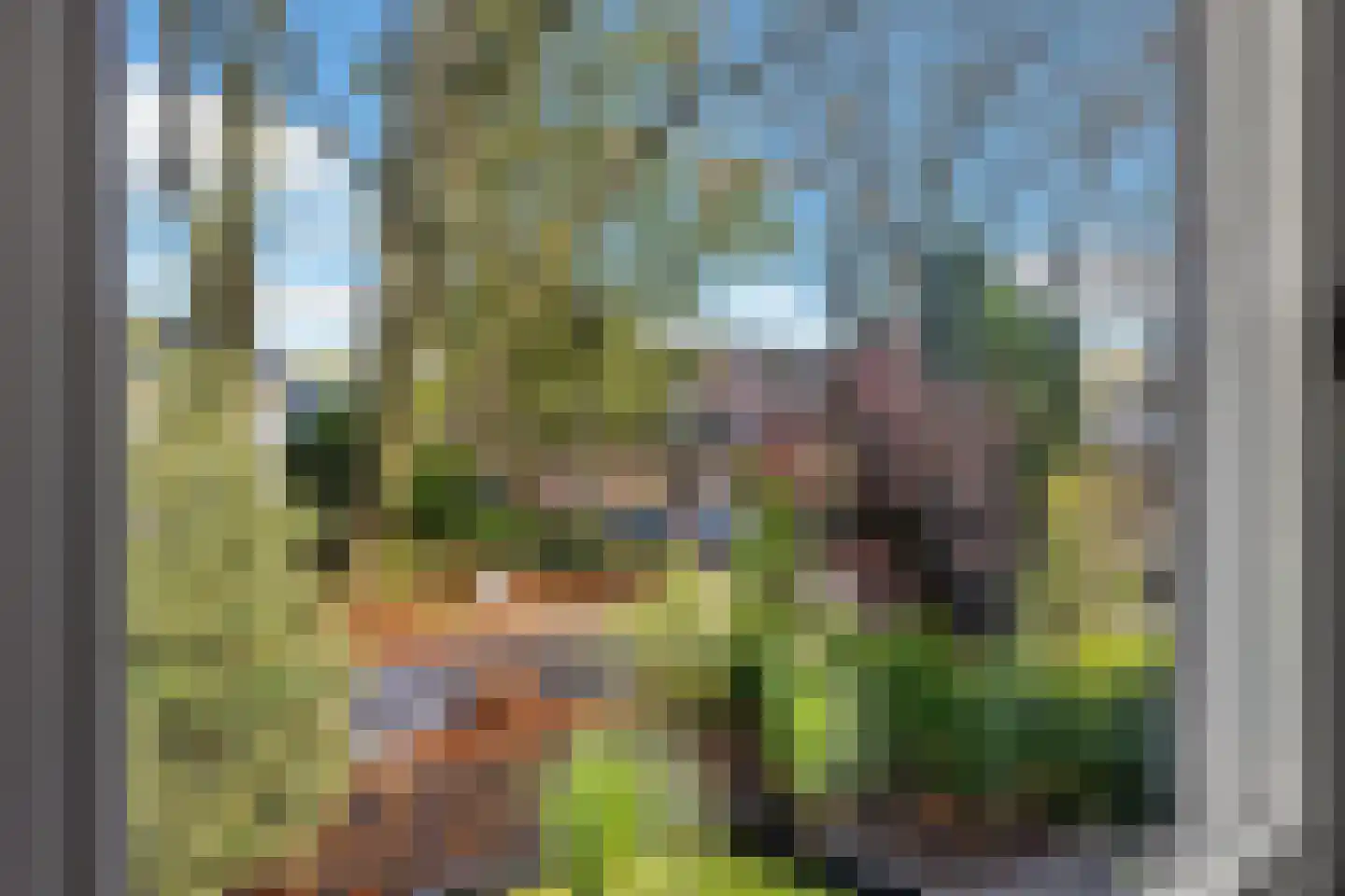 Amelsestraat 25 Oss thumbnail 44