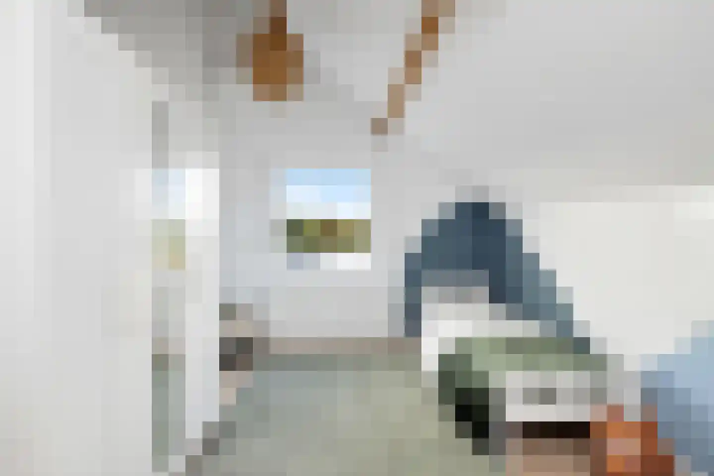 Amelsestraat 25 Oss thumbnail 48