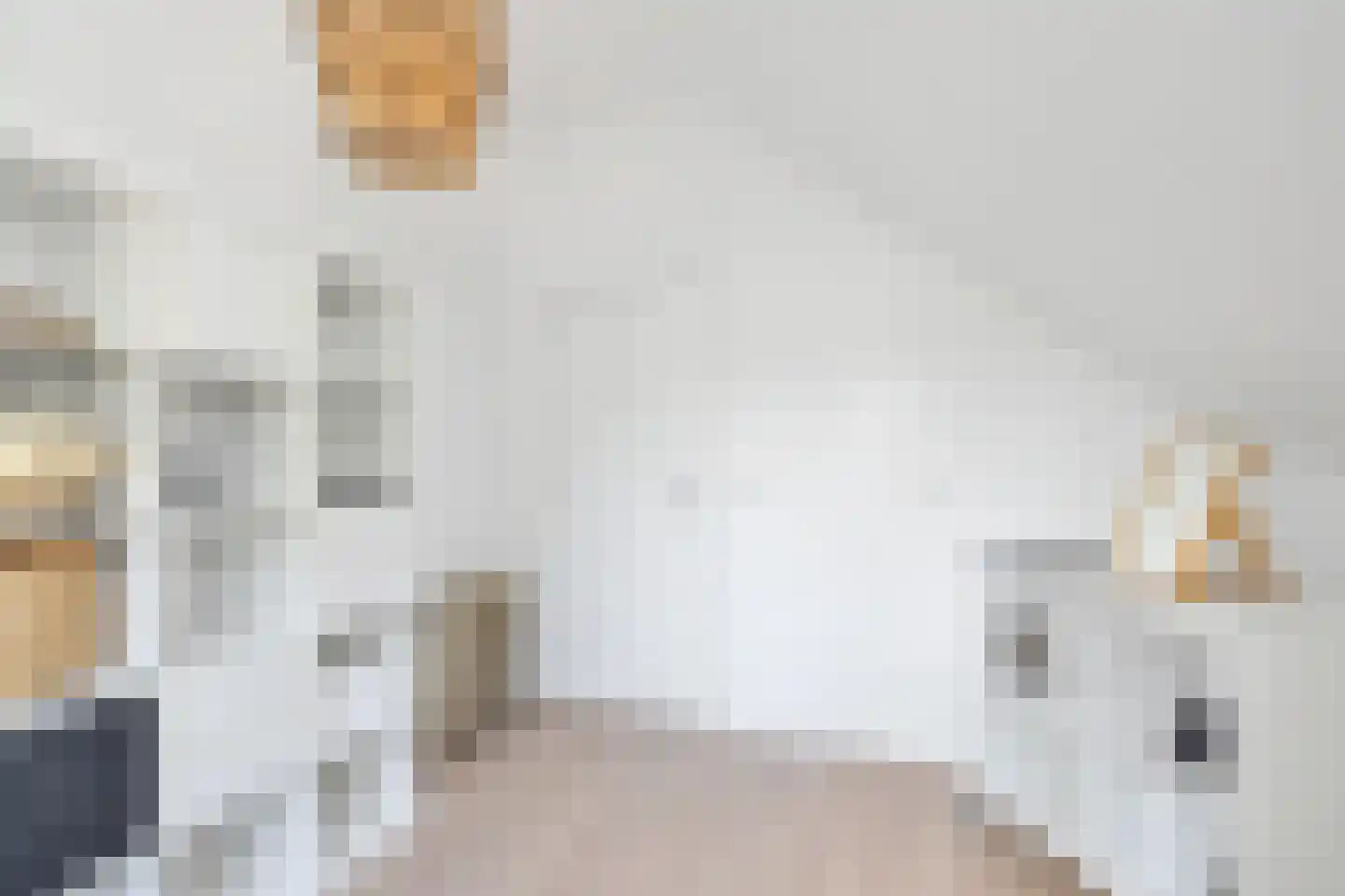 Amelsestraat 25 Oss thumbnail 51