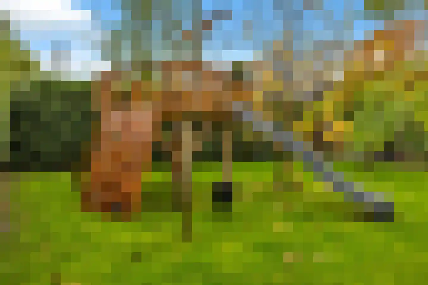Amelsestraat 25 Oss thumbnail 68