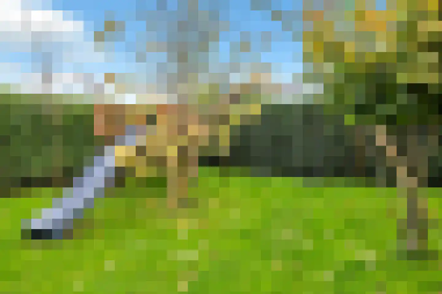 Amelsestraat 25 Oss thumbnail 69