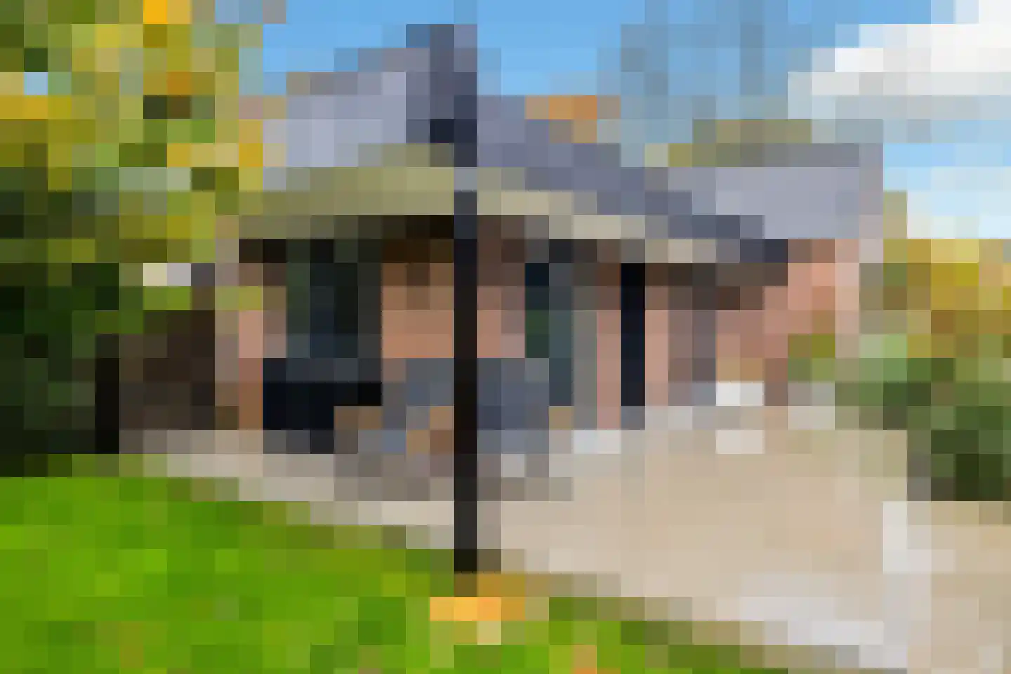 Amelsestraat 25 Oss thumbnail 74