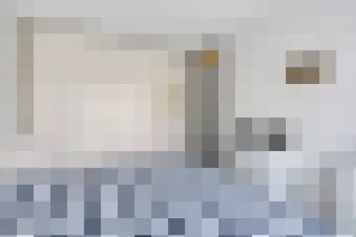Amelterhout 112 Assen thumbnail 17