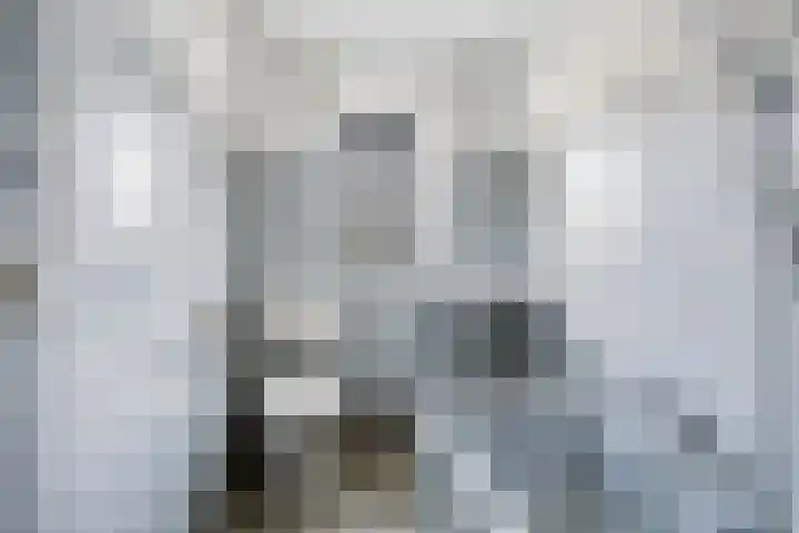 Amelterhout 112 Assen thumbnail 18