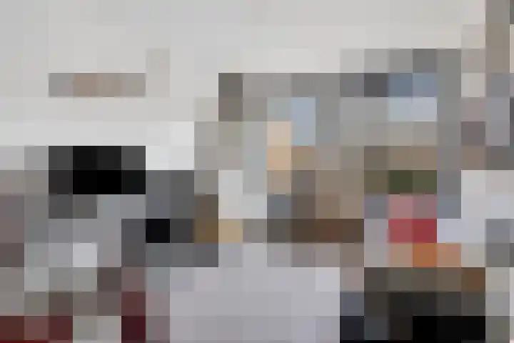 Amelterhout 112 Assen thumbnail 22