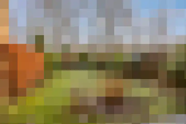 Amelterhout 112 Assen thumbnail 29